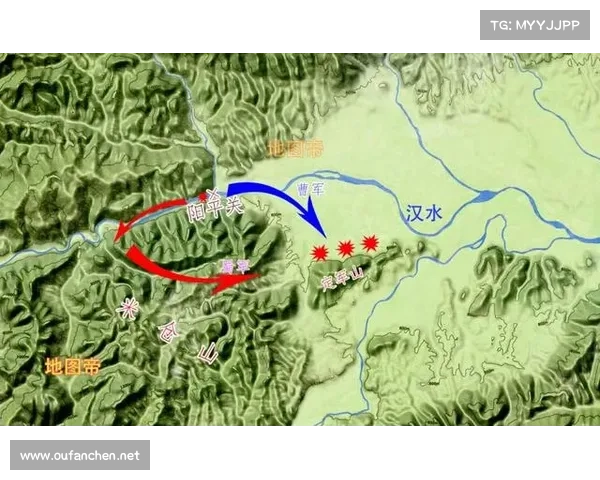 定军山之战对三国格局的深远影响与曹刘争霸的历史转折