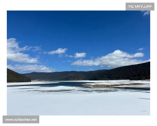冬季湖畔漫游:探寻冰雪覆盖下的宁静与诗意景色 冬季湖畔漫游:探寻冰雪覆盖下的宁静与诗意景色
