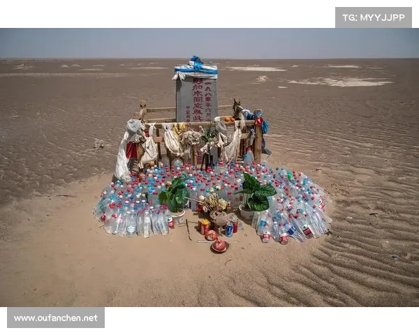 侠客风云传大地图全方位攻略教你轻松称霸武林纵横江湖无敌手