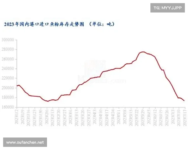 2023年下半年澳洲杯赛程与重要赛事详细一览